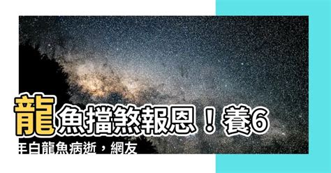 龍魚擋災|【龍魚擋災】龍魚守護神！實例揭秘龍魚擋煞保主人平安